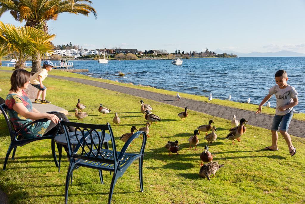 Oasis Beach Motel Taupo Luaran gambar